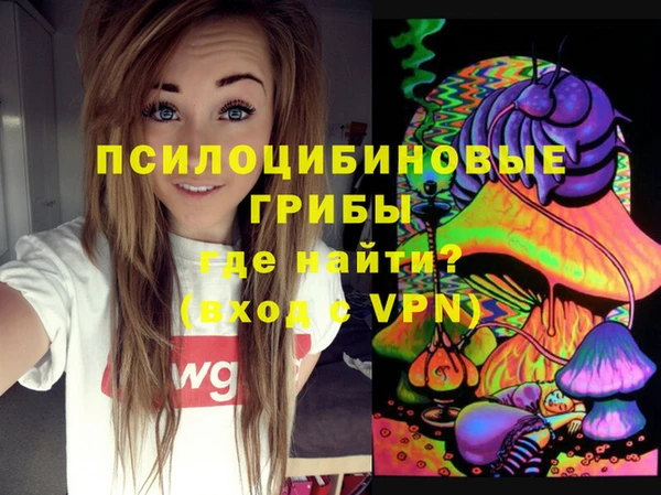 PSILOCYBIN Беломорск